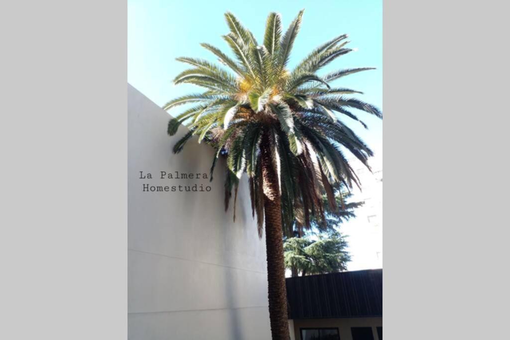 La Palmera Homestudio. Hermoso Apartamento En El Corazon De Palermo Hollywood บัวโนสไอเรส ภายนอก รูปภาพ
